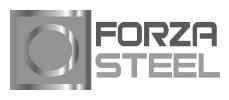 logo-forza